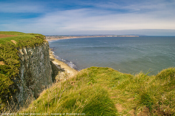 View from Buckton cliffs towards Filey Bay Picture Board by Michael Shannon