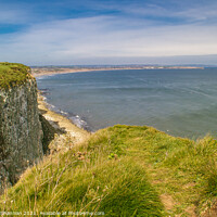 Buy canvas prints of View from Buckton cliffs towards Filey Bay by Michael Shannon