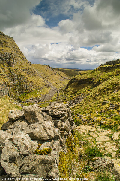 Watlowes Valley near Malham Cove, Yorkshire Dales Picture Board by Michael Shannon