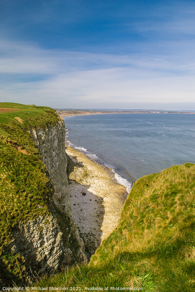 Buckton Cliffs - View towards Filey Picture Board by Michael Shannon