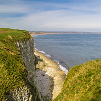 Buy canvas prints of Buckton Cliffs - View towards Filey by Michael Shannon