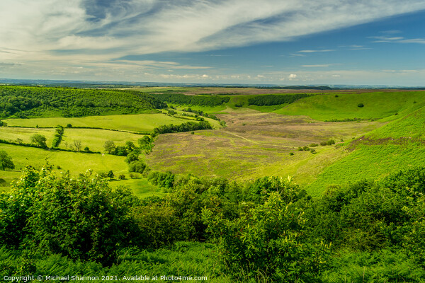 Majestic View of North Yorkshire Moors Picture Board by Michael Shannon