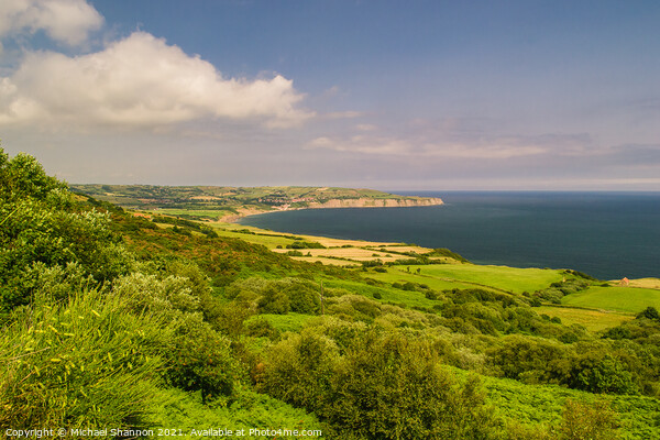Robin Hoods Bay, North Yorkshire Moors National Pa Picture Board by Michael Shannon