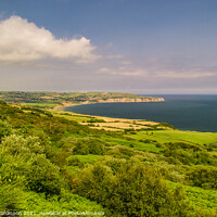 Buy canvas prints of Robin Hoods Bay, North Yorkshire Moors National Pa by Michael Shannon