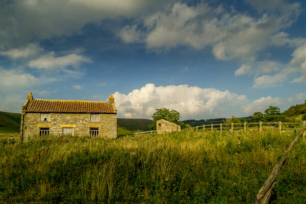 Abandoned Farm House, North Yorkshire Moors Picture Board by Michael Shannon