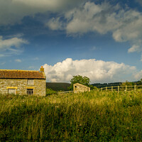 Buy canvas prints of Abandoned Farm House, North Yorkshire Moors by Michael Shannon