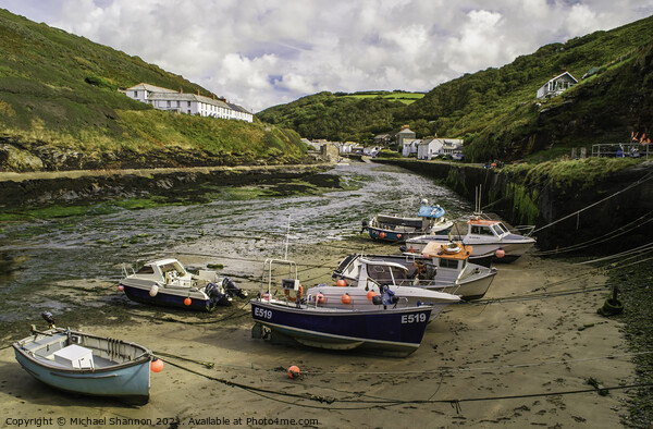 Fishing boats and pleasure craft in the harbour at Picture Board by Michael Shannon