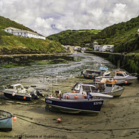 Buy canvas prints of Fishing boats and pleasure craft in the harbour at by Michael Shannon