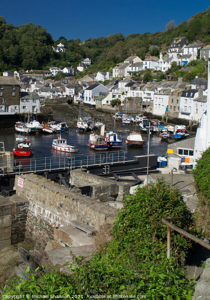 Cliffside view of Polperro Harbour in Cornwall Picture Board by Michael Shannon