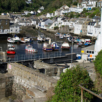 Buy canvas prints of Cliffside view of Polperro Harbour in Cornwall by Michael Shannon