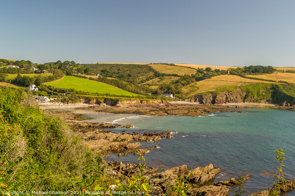 The South West Coast Path at Talland Bay in Cornwa Picture Board by Michael Shannon