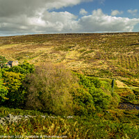 Buy canvas prints of Wheelgate, North Yorkshire Moors by Michael Shannon
