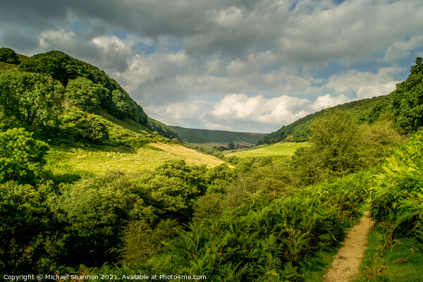 Hole of Horcum, North Yorkshire Moors Picture Board by Michael Shannon