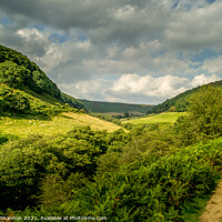 Buy canvas prints of Hole of Horcum, North Yorkshire Moors by Michael Shannon
