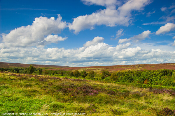 North Yorkshire Moors Landscape near Fen Bog Picture Board by Michael Shannon