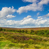 Buy canvas prints of North Yorkshire Moors Landscape near Fen Bog by Michael Shannon
