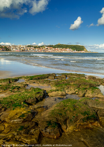 Scarborough South Bay and rockpools Picture Board by Michael Shannon