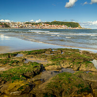 Buy canvas prints of Scarborough South Bay and rockpools by Michael Shannon