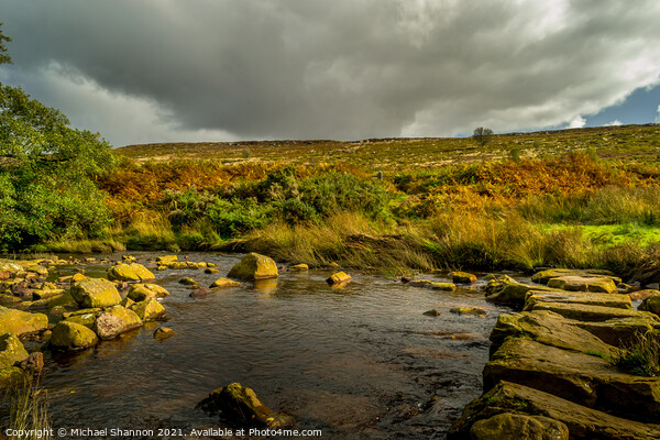 Wheeldale Beck stepping stones Picture Board by Michael Shannon