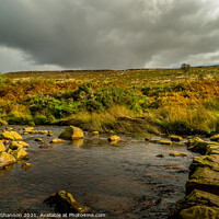 Buy canvas prints of Wheeldale Beck stepping stones by Michael Shannon