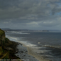 Buy canvas prints of View north from the cliffs near Filey Brigg by Michael Shannon
