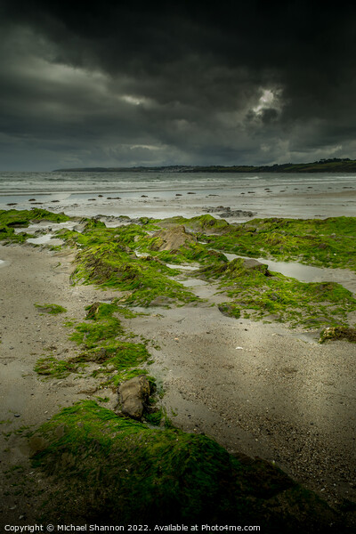 A moody, overcast day on Carne Beach in Cornwall Picture Board by Michael Shannon