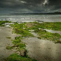 Buy canvas prints of A moody, overcast day on Carne Beach in Cornwall by Michael Shannon