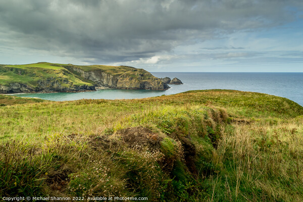 Clifftop View, looking South towards Bossiney Cove Picture Board by Michael Shannon