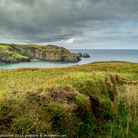 Buy canvas prints of Clifftop View, looking South towards Bossiney Cove by Michael Shannon