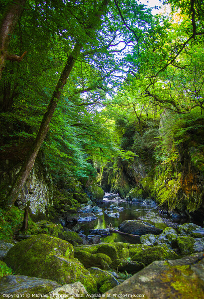 Fairy Glen (Ffos Anoddun) near Betws-y-Coed in Wal Picture Board by Michael Shannon