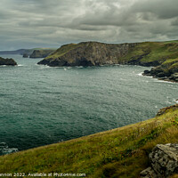 Buy canvas prints of Looking North from Barras Nose near Tintagel, Corn by Michael Shannon
