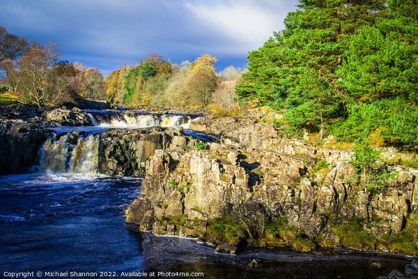 Low Force waterfall in Upper Teesdale  Picture Board by Michael Shannon