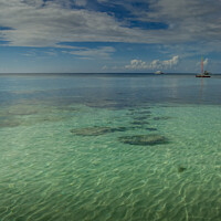 Buy canvas prints of Beautiful clear sea, Panglao Beach, Bohol, Philipp by Michael Shannon