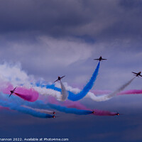 Buy canvas prints of Nine Red Arrow aircraft performing manoeuvre by Michael Shannon