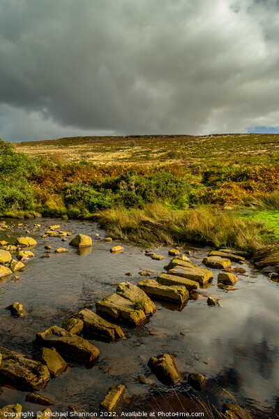 Stepping Stones over Wheeldale Beck, North Yorkshi Picture Board by Michael Shannon