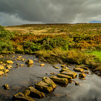 Buy canvas prints of Stepping Stones over Wheeldale Beck, North Yorkshi by Michael Shannon