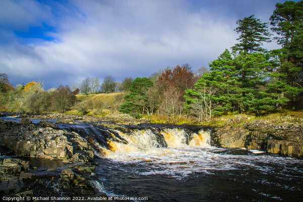 Low Force waterfall on the River Tees in Teesdale Picture Board by Michael Shannon