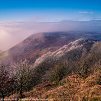 Buy canvas prints of Early Morning Mist, North Yorkshire Moors by Michael Shannon