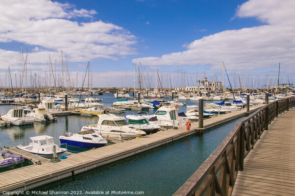 The boats and yachts in Rubicon Marina, Playa Blan Picture Board by Michael Shannon