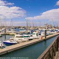Buy canvas prints of The boats and yachts in Rubicon Marina, Playa Blan by Michael Shannon