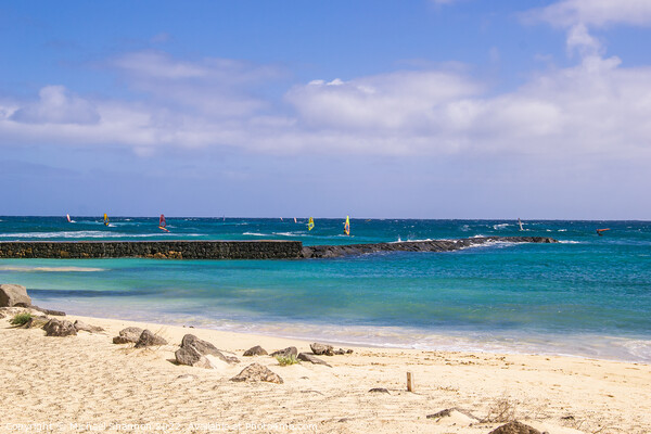 Windsurfing, Baja de los Charcos, Costa Teguise Picture Board by Michael Shannon