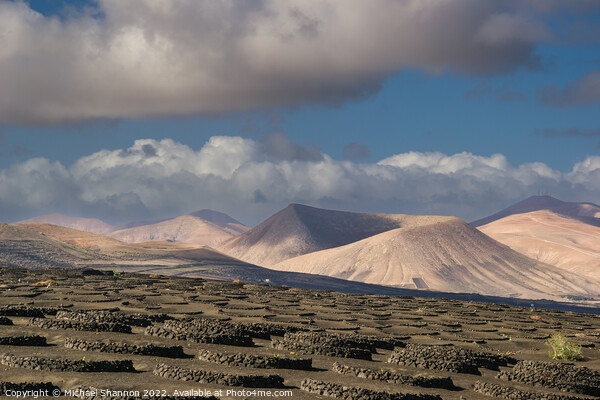 Volcanic landscape of La Geria region in Lanzarote Picture Board by Michael Shannon