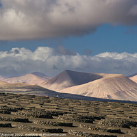 Buy canvas prints of Volcanic landscape of La Geria region in Lanzarote by Michael Shannon