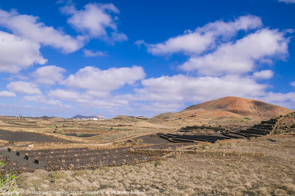 Agricultural Landscape in the Timanfaya National P Picture Board by Michael Shannon