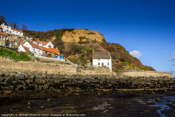 Cottages by the sea in Runswick Bay, North Yorkshi Picture Board by Michael Shannon