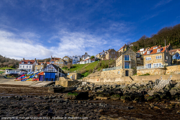 Cottages and boathouse in Runswick Bay, North York Picture Board by Michael Shannon