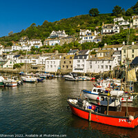 Buy canvas prints of Harbour in Polperro, Cornish Fishing Village by Michael Shannon