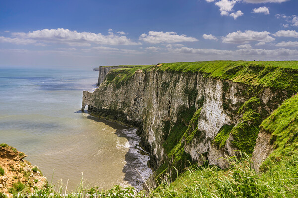 The Chalk Cliffs at Bempton and Flamborough Picture Board by Michael Shannon