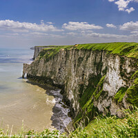 Buy canvas prints of The Chalk Cliffs at Bempton and Flamborough by Michael Shannon
