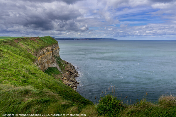 Clifftop view from near Filey Brigg Picture Board by Michael Shannon